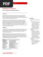 Halliburton Global LMP Manual | PDF | Occupational Safety And Health | Safety