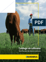 BARENBRUG - Catálogo de Cultivares2020