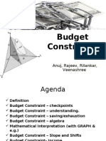 Budget Constraints: Anuj, Rajeev, Ritankar, Veenashree