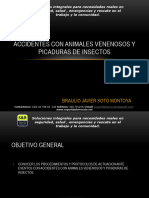 ACCIDENTES CON ANIMALES VENENOSOS Y PICADURAS DE INSECTOS