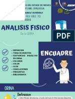 Analisis Orina FISICO