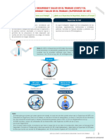 Guía Del Comité o Supervisor de Seguridad y Salud en El Trabajo (1) - 5