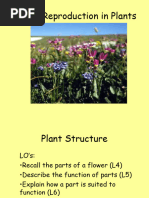 Sexual Reproduction in Plants