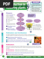 Plant Reproduction Text