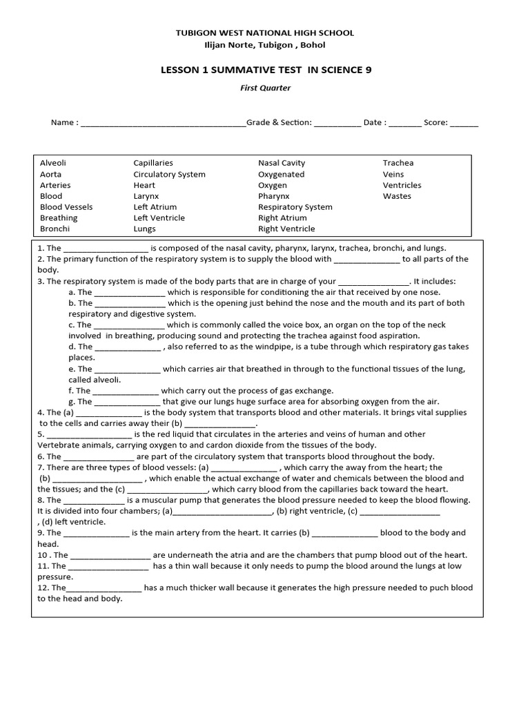 summative-test-lesson-1-download-free-pdf-respiratory-system-blood