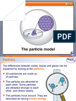 The Particle Model