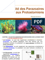 Chapitre 1. Place Phylogenetique Des Metazoaires Dans Le Monde Vivant