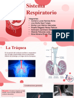 Sistema Respiratorio. Finaaaaallll