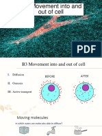 B3 Movement Into and Out of Cells Slides