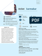 Professional Resume Web Developer