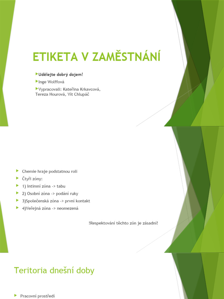 Etika Prezentace | PDF