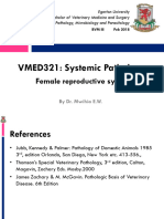 Female Reproductive System - Slides