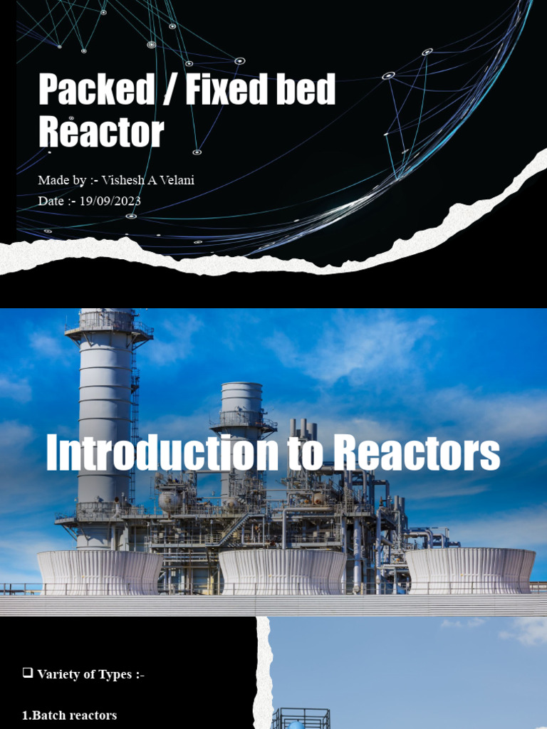 Packed Bed Reactor | PDF | Chemical Reactor | Chemical Equipment