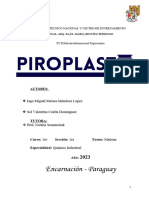 Proyecto Piroplast