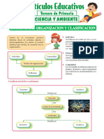 Ecosistemas-Organizacion-y-Clasificacion-para-Tercero-de-Primaria