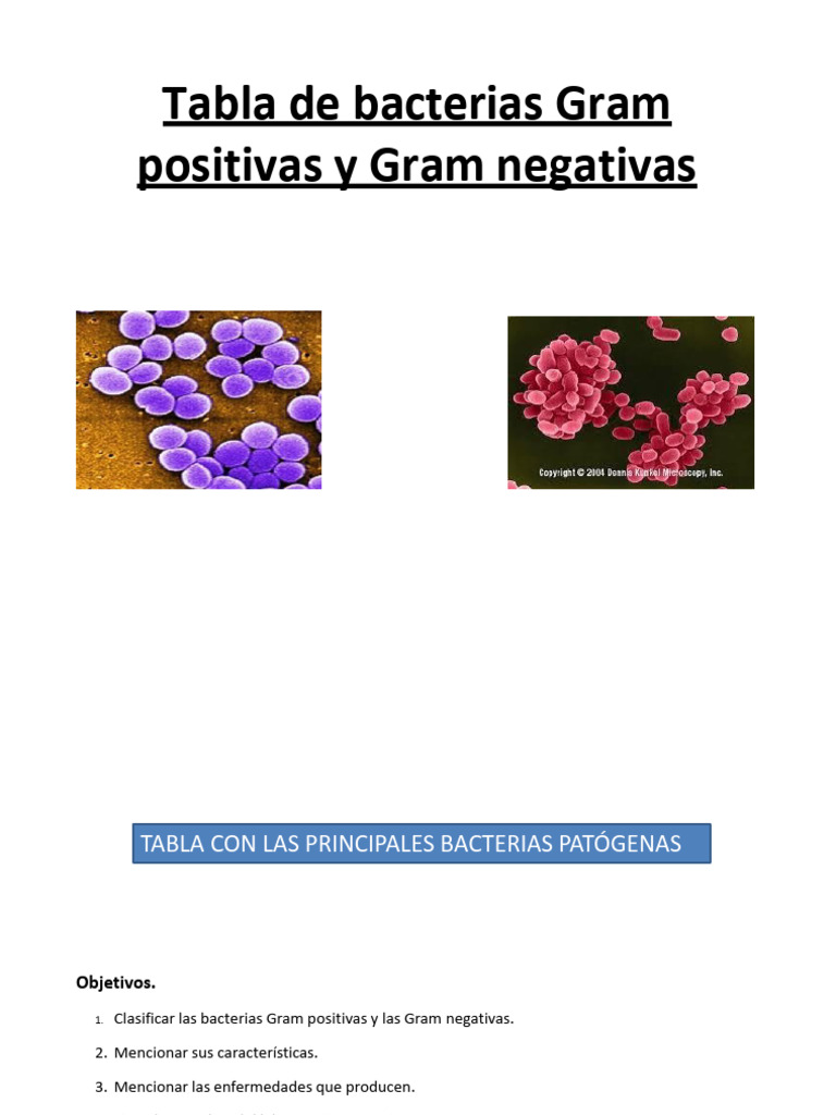 Bacterias de Importancia Medica PDF