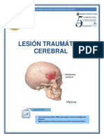 09 Lesion Cerebral Traumatica