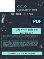Ciclo Biogeoquimico Del Nitrogeno