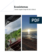 Ecosistemas: Rain Maricruz Jacobo Angulo Grupo-B 2021-I BGAI