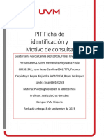 PIT Ficha Identificación y Motivo de Consulta