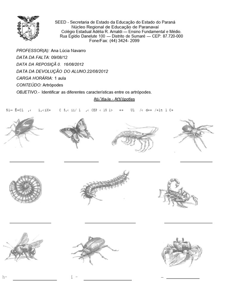 Atividade Artropodes 2019 | PDF