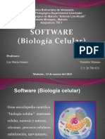 Software TIC