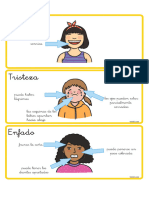 ES T S 1154 Caracteristicas de Las Emociones Tarjetas de Vocabulario Ver 2