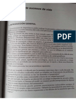 Teoria Suceso Vida Capit de Casullo