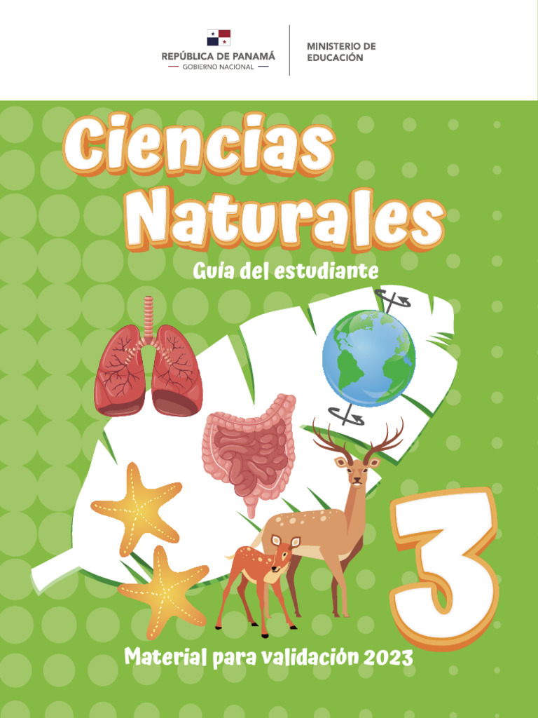 Ge cn3 web pdf