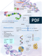 Proteinas y Aminoacidos