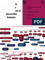 Principales Procesos Moleculares