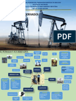 Campos Joel Mapa Mental 3er