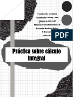 Prácticas Sobre Cálculo Integral