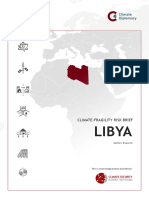 Csen Risk Brief Libya
