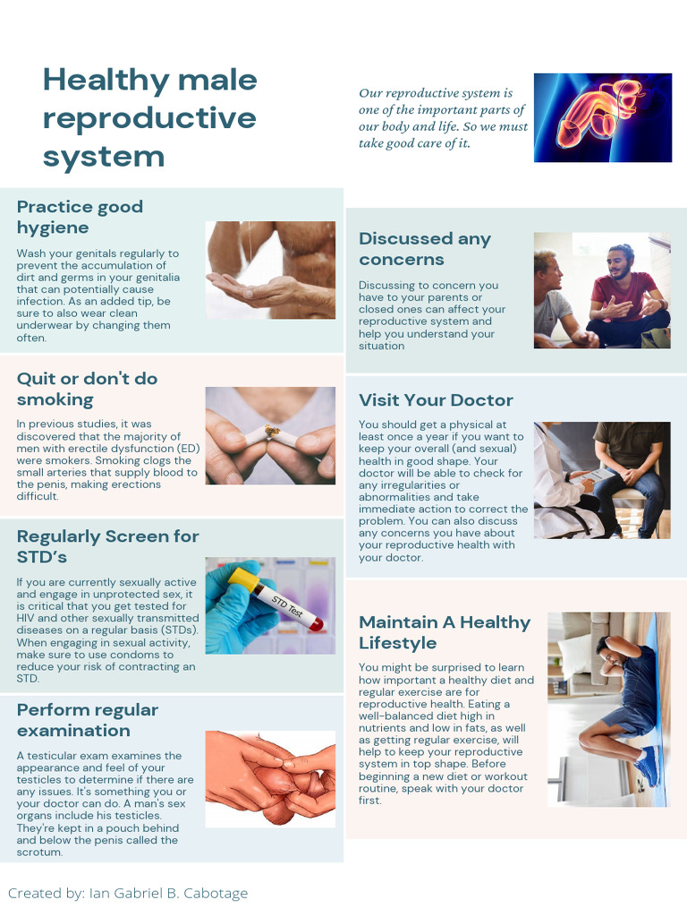 How To Take Care of Male Reproductive System PDF Sexually