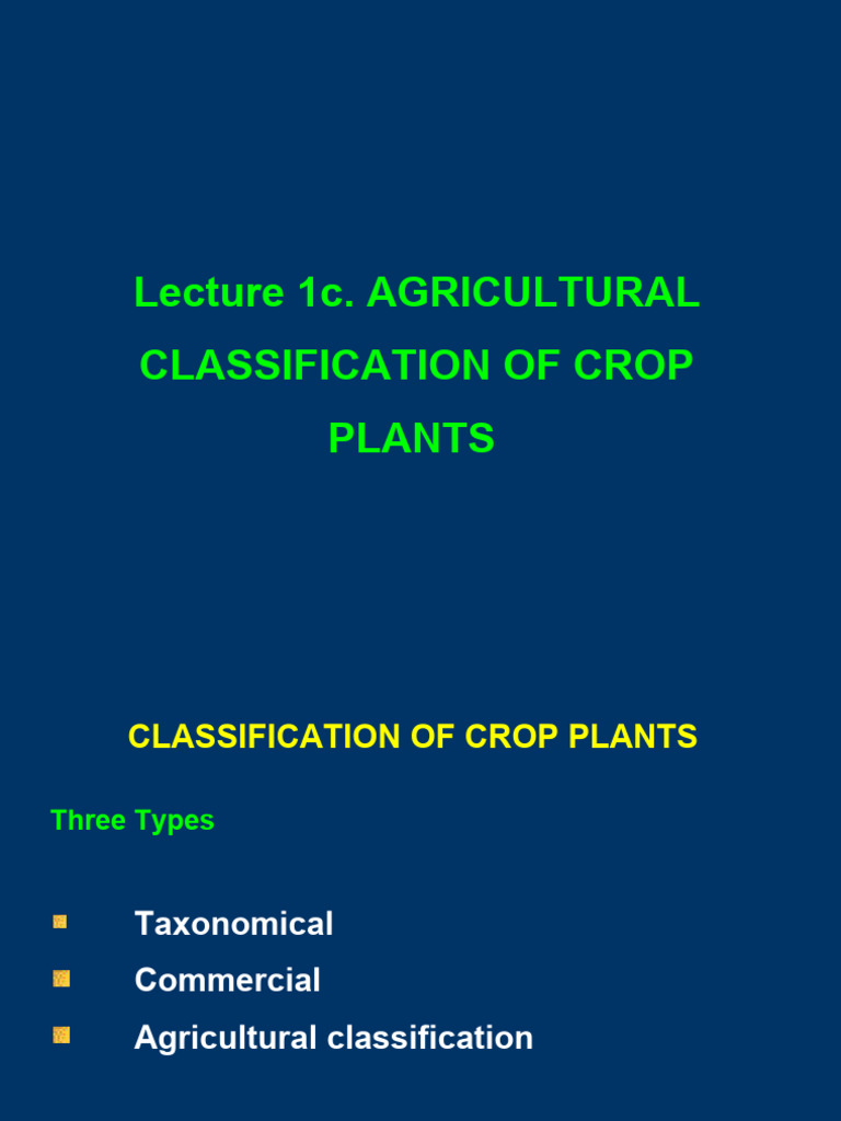 LECTURE 1c Agrl Classification of Crop Plants PDF Cereals Legume