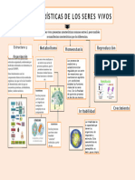 Mapa Conceptual de Las Caracteristicas de Los Seres Vivos 2