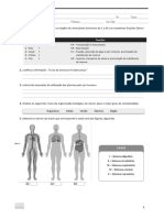 1. Teste de Diagnostico