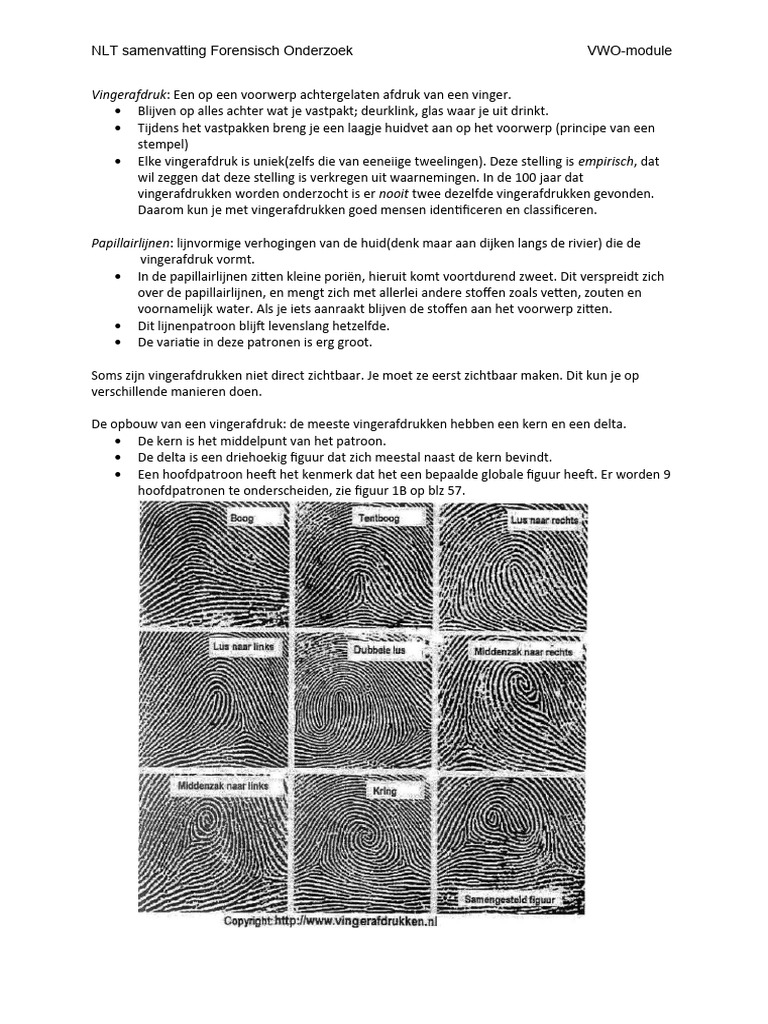 Vingerafdruk: Een Op Een Voorwerp Achtergelaten Afdruk Van Een Vinger | PDF