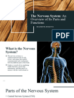 The Nervous System-Presentation