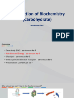 Nutrition and Energy FX