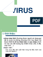 Chuong Vi - Virus