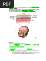 Estrutura e Função das Meninges | PDF | Sistema nervoso central | Anatomia