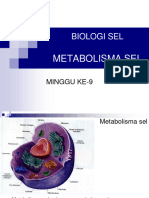 Metabolisma Sel