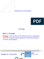 1.1 Energy Flow in Ecosystems (10 ASP) 2