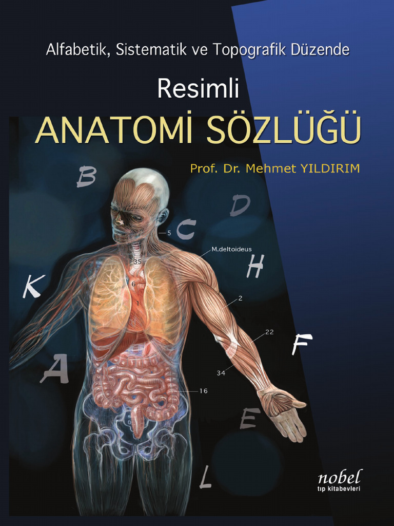Resimli Anatomi Sözlüğü | PDF