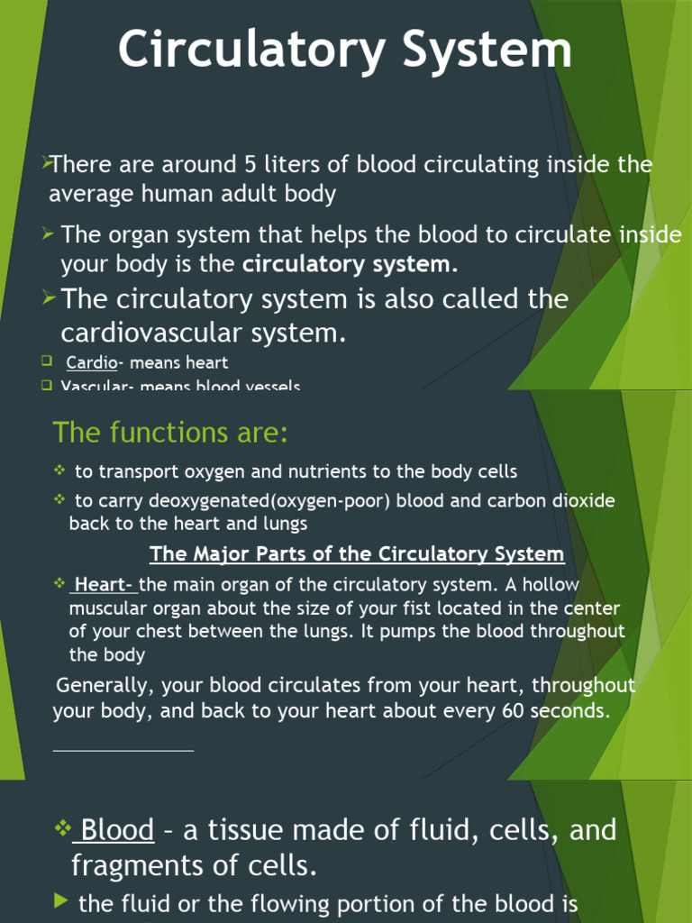 Circulatory System - Q1 Grade 9 | PDF