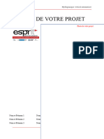 Model Rapport CDIO