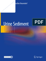 Urine Microscopic Examination