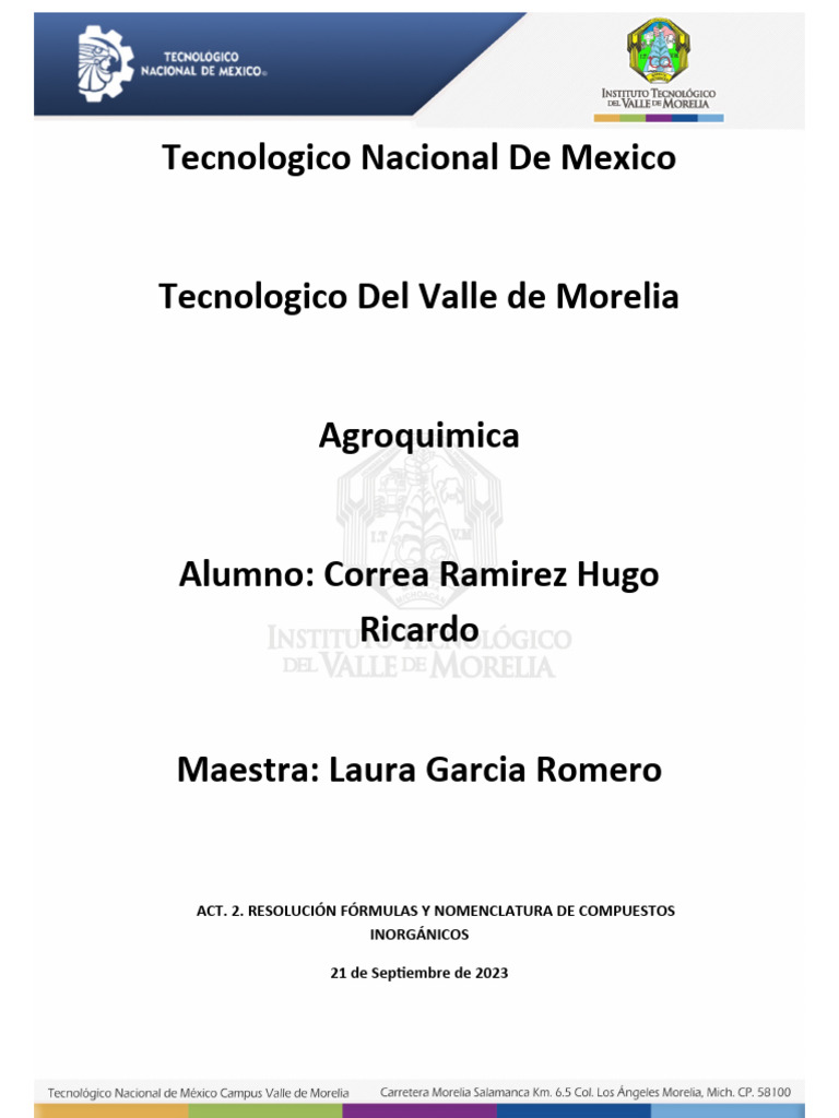 Actividad de Química en ITVM | PDF